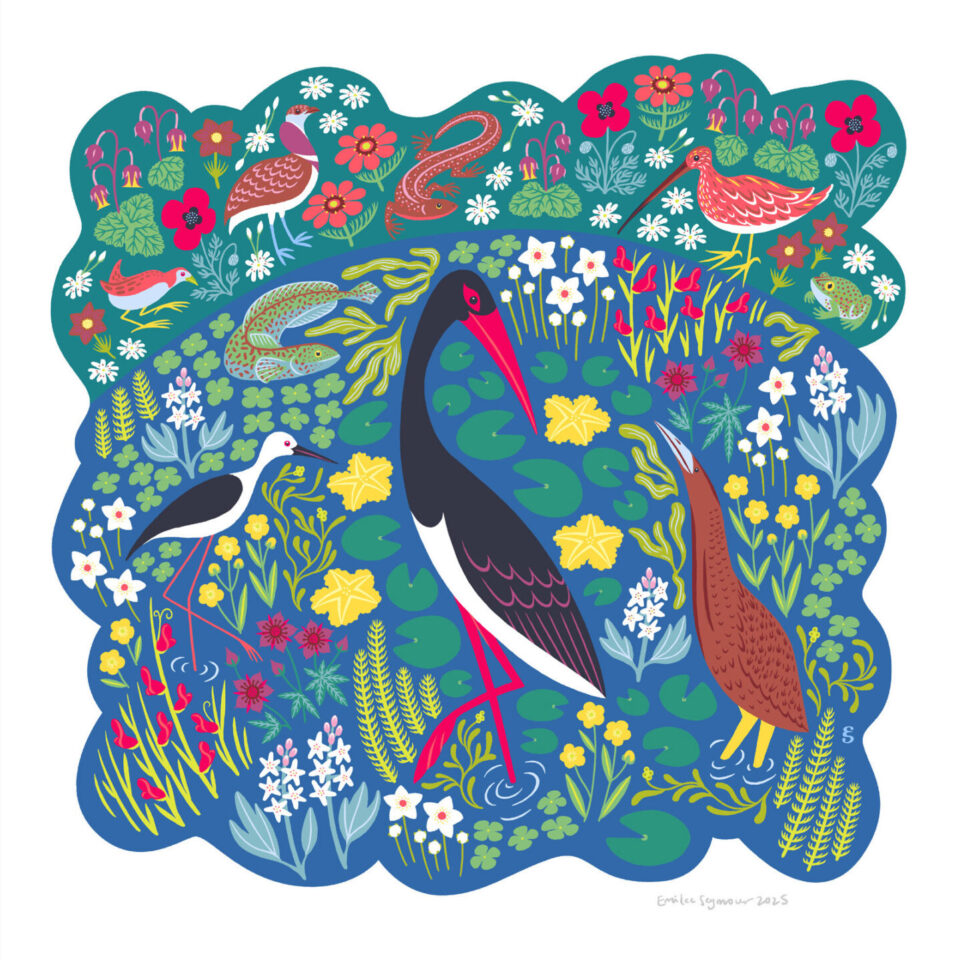 Illustration of critically endangered plant and animal species from the Val de Loire region of France by Emilee Seymour