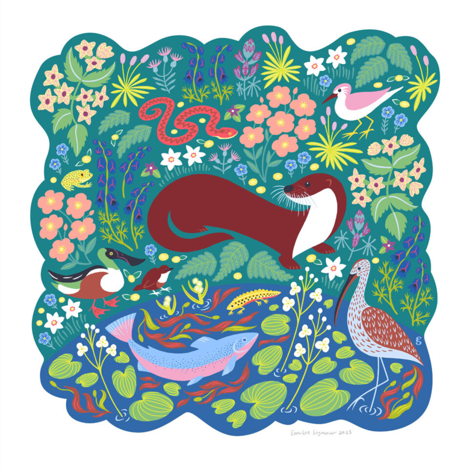 Illustration of endangered plant and animal species from the Val de Loire region of France by Emilee Seymour