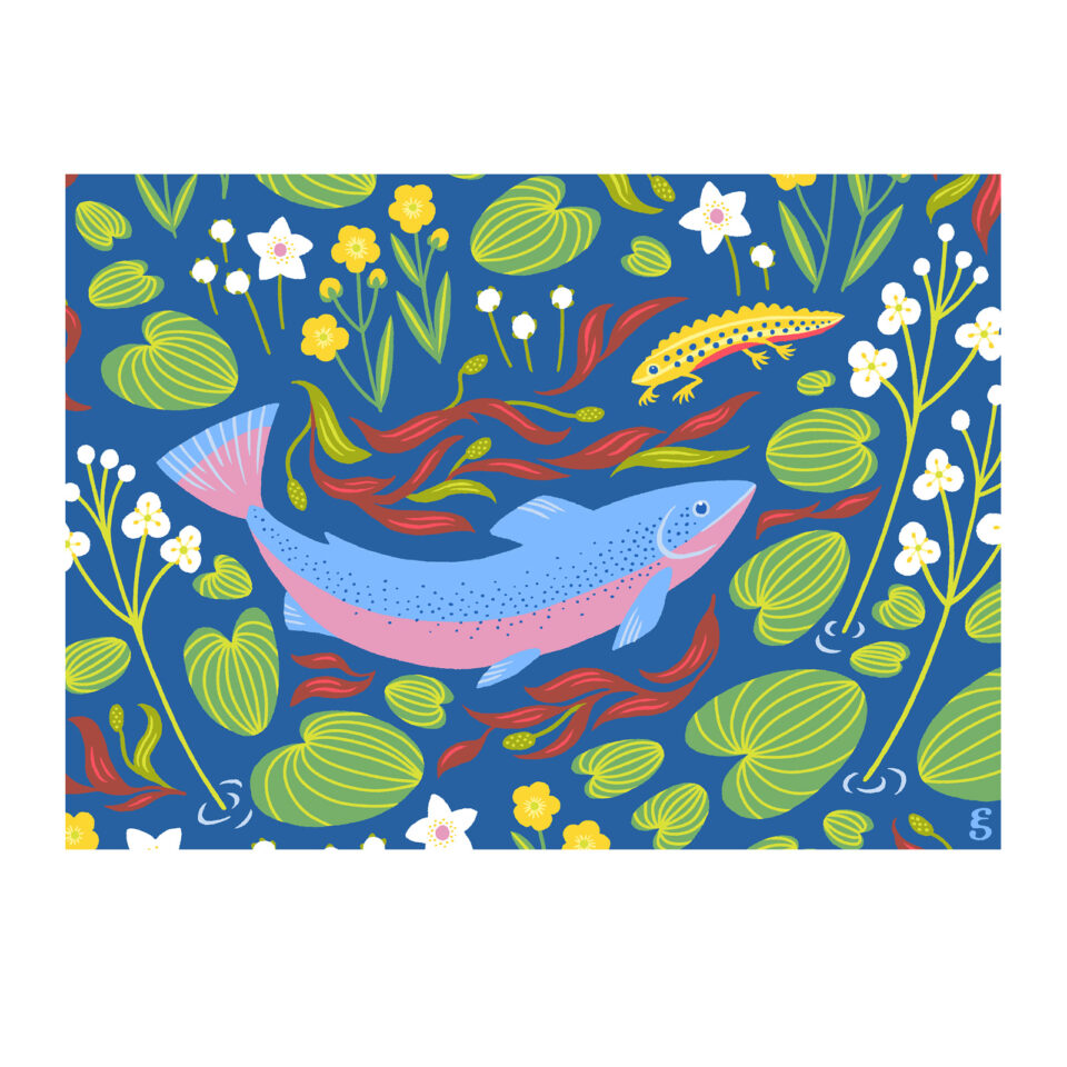 Illustration of a salmon and a newt surrounded by flowers from the Val de Loire region of France by Emilee Seymour