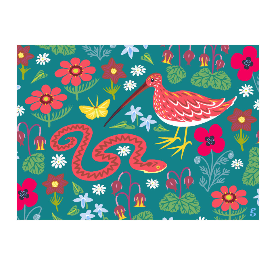 Illustration of a viper and a snipe surrounded by flowers from the Val de Loire region of France by Emilee Seymour